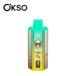 OKSO 120K Puffs 6 in 1 disposable vape