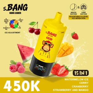 Bang Leader 450K Puffs 15-in-1 Disposable Vape | 4-Level Ice Sensation & Dual Mode (MTL/DTL)
