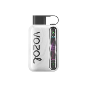 VOZOL Star 40000 Disposable Vape |Wavy Curved Display Screen|50MG